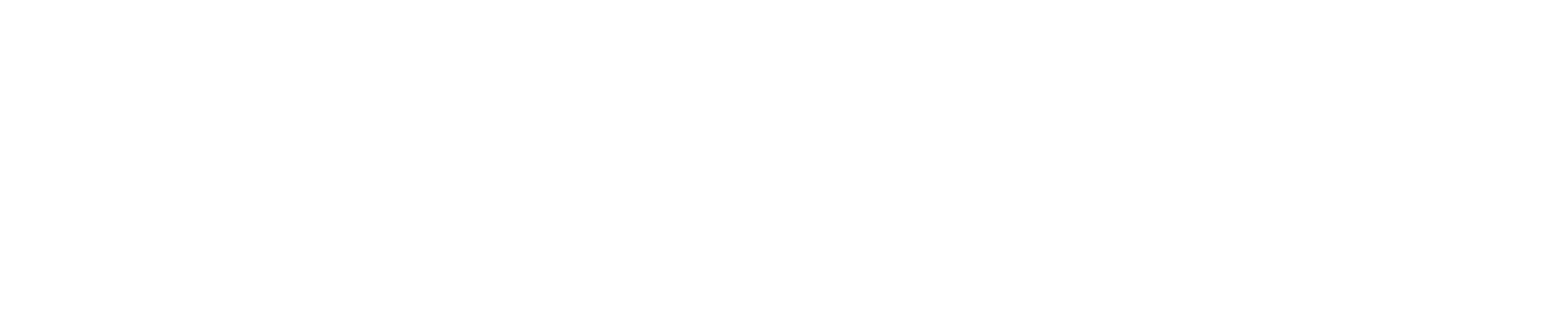 Capital Pro — Consultoria e Projetos